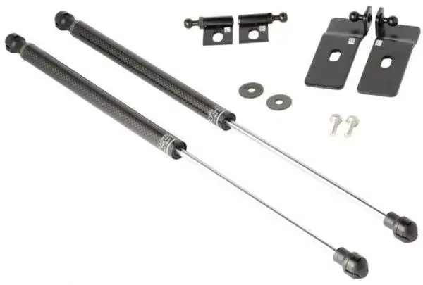 Karbonové vzpěry kapoty Jap Parts Ford Mustang (05-09) Jen Po Omezenou Doba