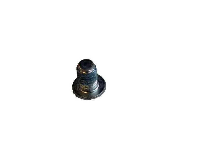 Must-Have Šroub pantu zadních vrat M8x12 / TORX - KRONE