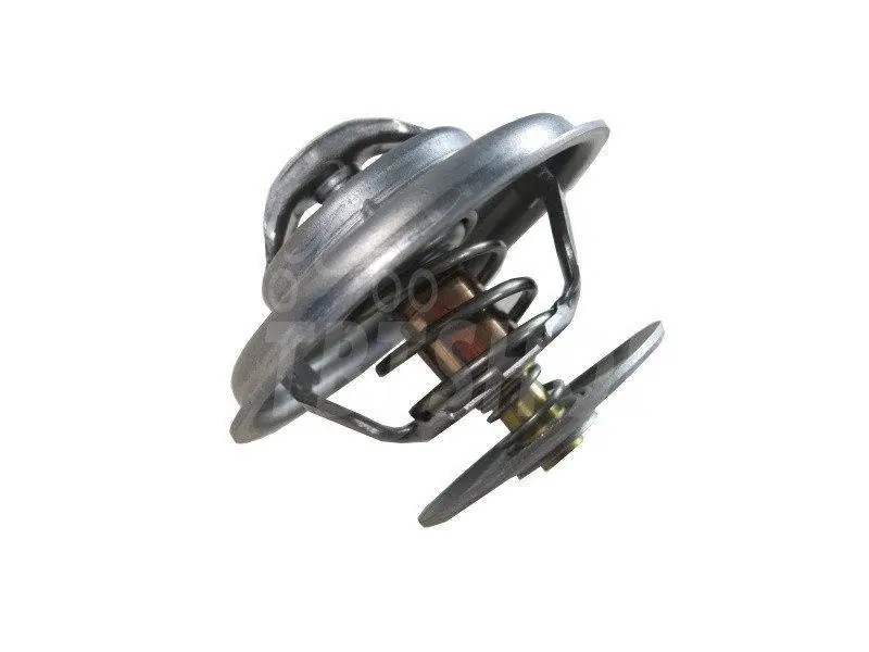 Jen Po Omezenou Doba Termostat 76° d=66mm