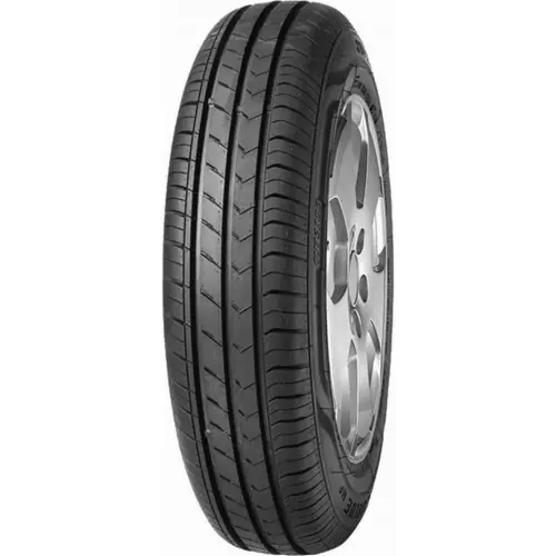 Speciální Cena Fortuna ECOPLUS HP 205/55R16 91H