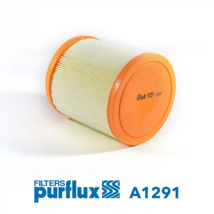 Vzduchový filtr PURFLUX A1291 Oblíbený