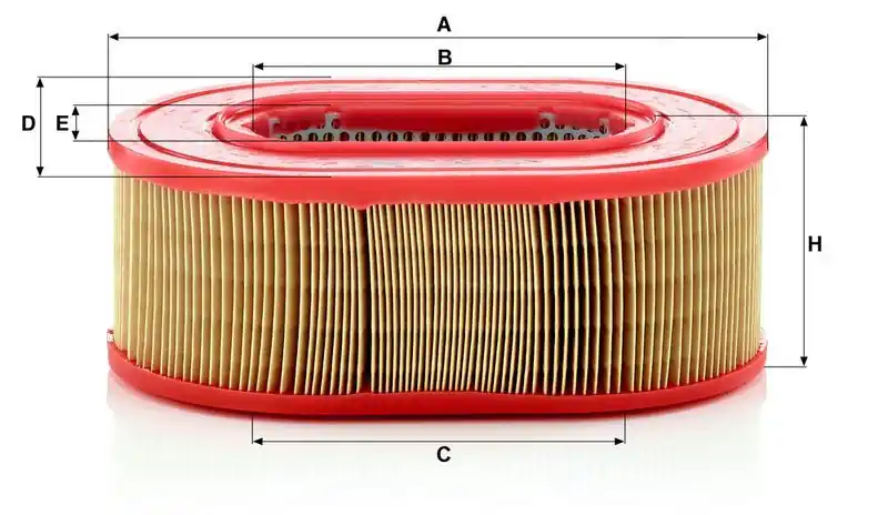 Must-Have Vzduchový filtr MANN C25124 (MF C25124)