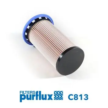 Tovární Cena Palivový filtr PURFLUX C813