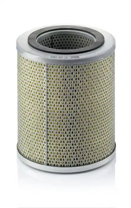 Jen Po Omezenou Doba Palivový filtr MANN P19185 (MF P19185)